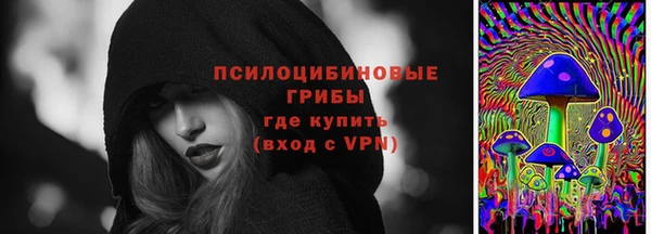 ПСИЛОЦИБИНОВЫЕ ГРИБЫ Вяземский