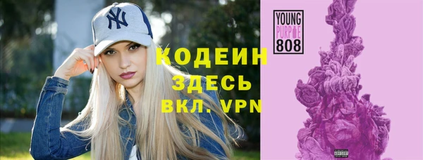 ПСИЛОЦИБИНОВЫЕ ГРИБЫ Вяземский