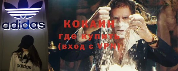 стаф Вязьма