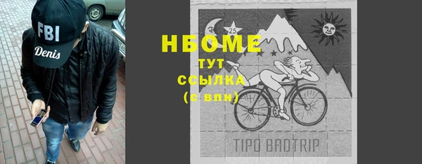 стаф Вязьма