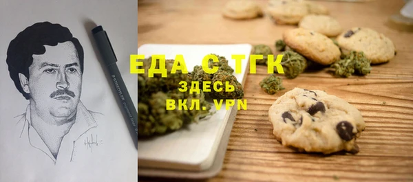 стаф Вязьма