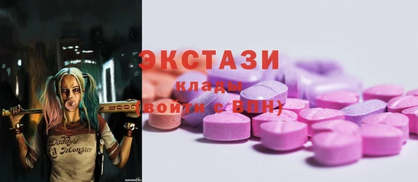 стаф Вязьма