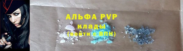 ПСИЛОЦИБИНОВЫЕ ГРИБЫ Вяземский