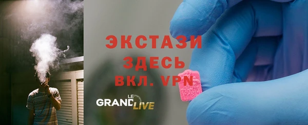 стаф Вязьма
