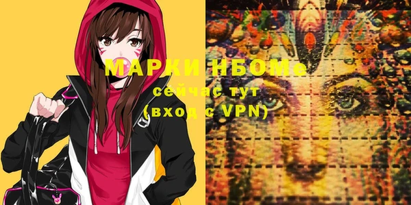 ПСИЛОЦИБИНОВЫЕ ГРИБЫ Вяземский