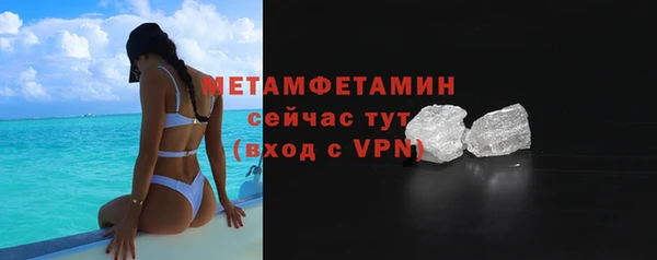 ПСИЛОЦИБИНОВЫЕ ГРИБЫ Вяземский