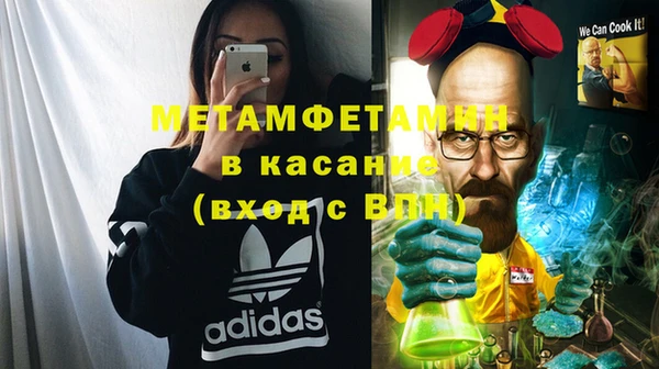 ПСИЛОЦИБИНОВЫЕ ГРИБЫ Вяземский