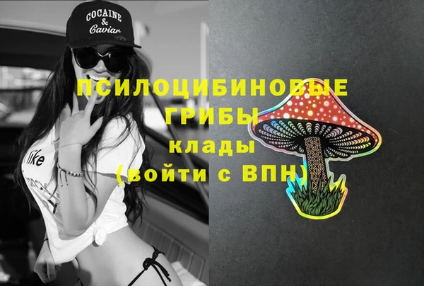 ПСИЛОЦИБИНОВЫЕ ГРИБЫ Вяземский
