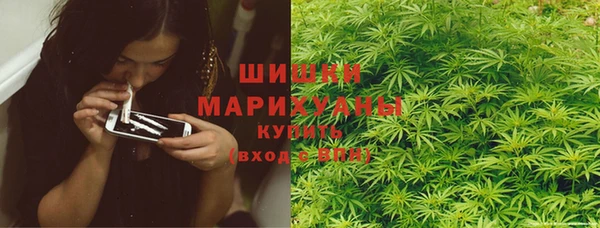 ПСИЛОЦИБИНОВЫЕ ГРИБЫ Вяземский