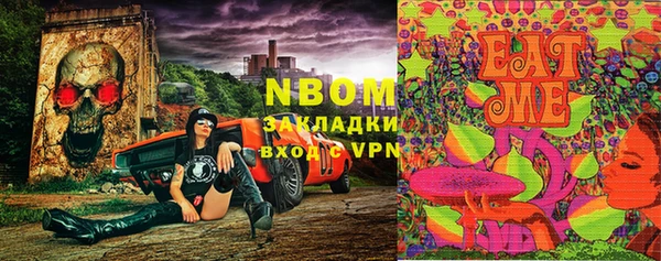 стаф Вязьма