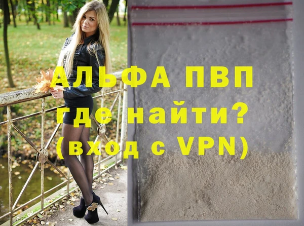 стаф Вязьма