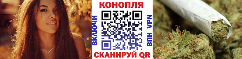 Каннабис конопля  Ахтырский 